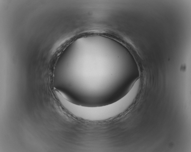 X0000112511448200909071257