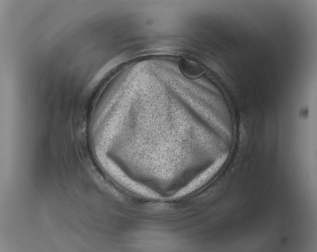 X0000112511450200909071257