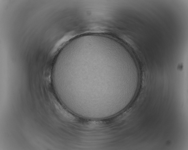 X0000112511451200909071257