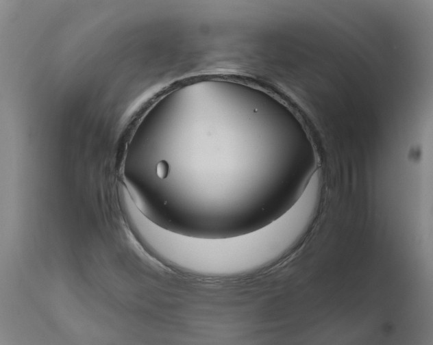 X0000112511452200909071257