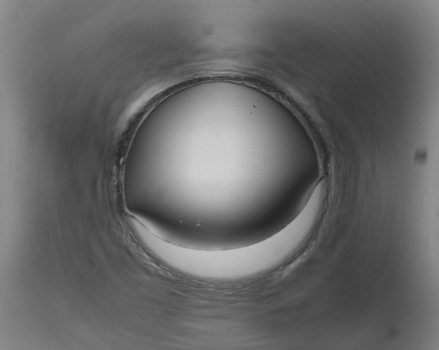 X0000112511453200909071257