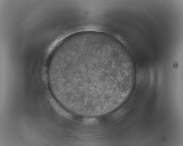 X0000112511454200909071257