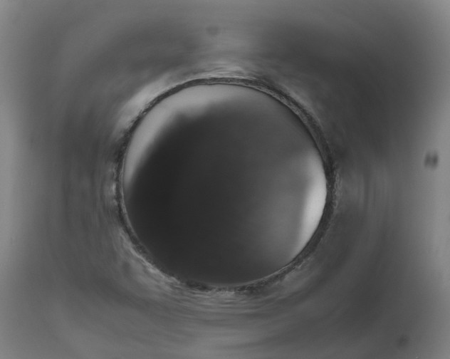 X0000112511455200909071257