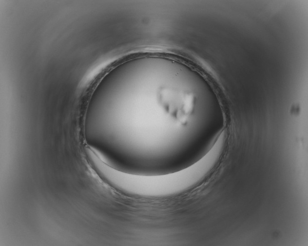 X0000112511456200909071257