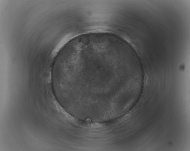 X0000112511459200909071257