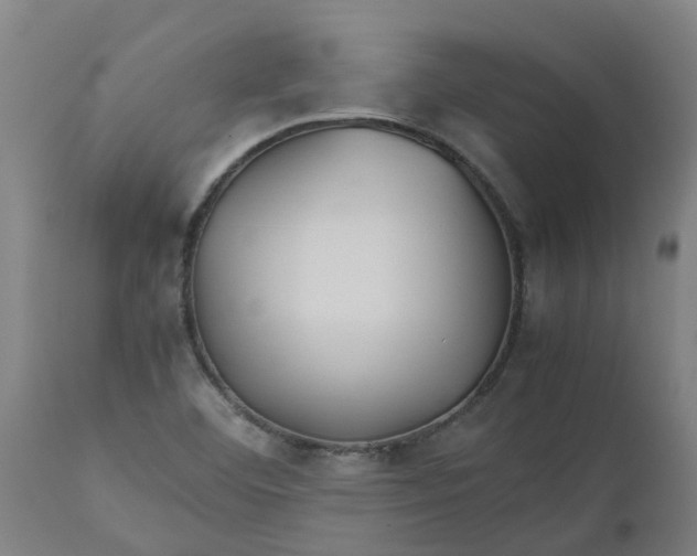 X0000112511460200909071257