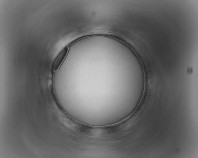 X0000112511461200909071257