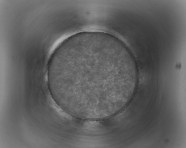 X0000112511462200909071257