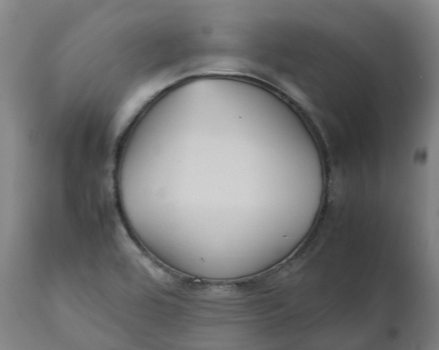 X0000112511464200909071257