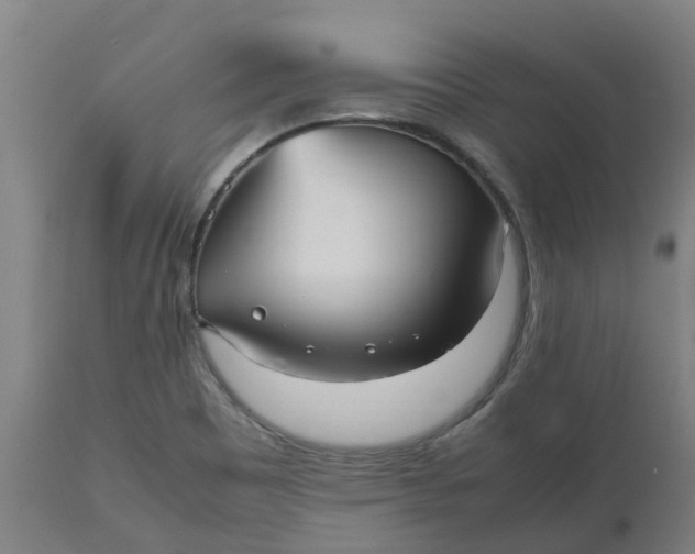 X0000112511465200909071257