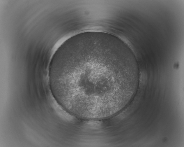 X0000112511466200909071257