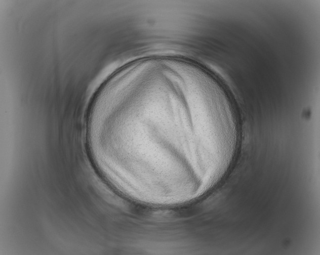 X0000112511467200909071257