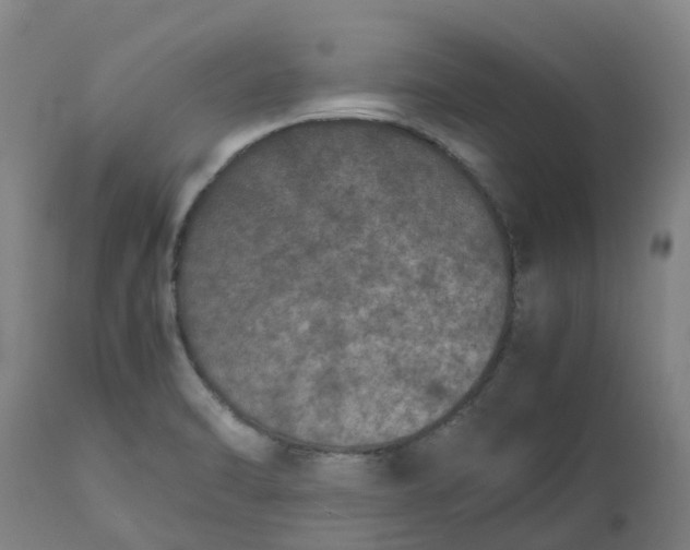 X0000112511470200909071257