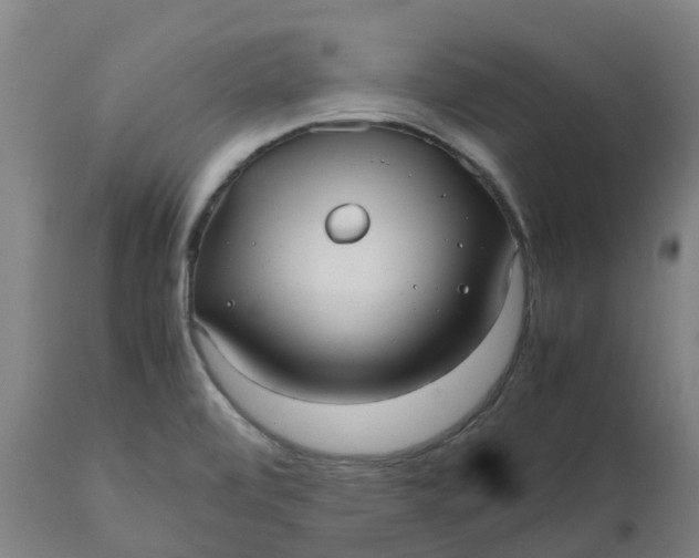 X0000112511472200909071257