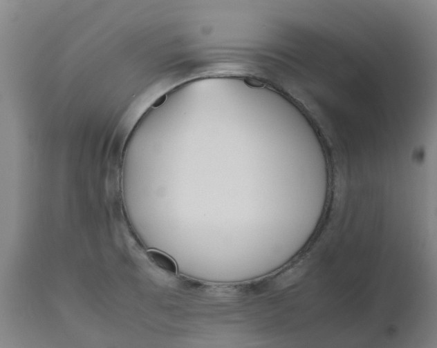 X0000112511473200909071257