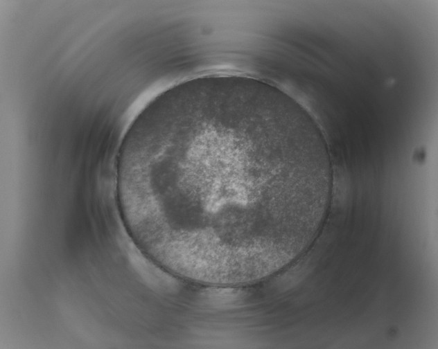 X0000112511474200909071257