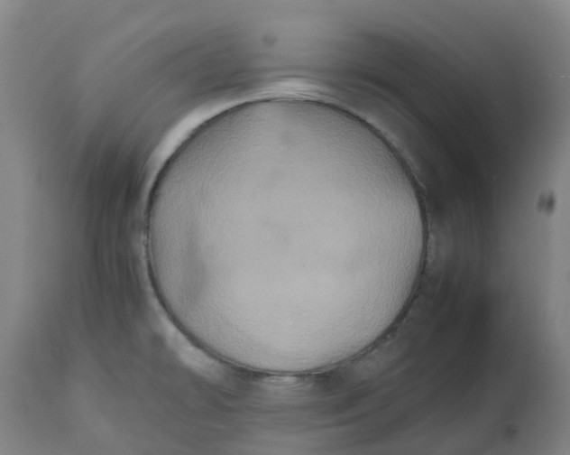 X0000112511478200909071257