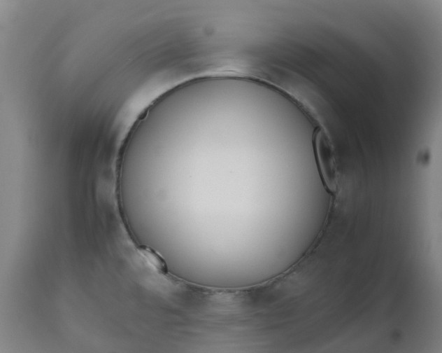 X0000112511480200909071257