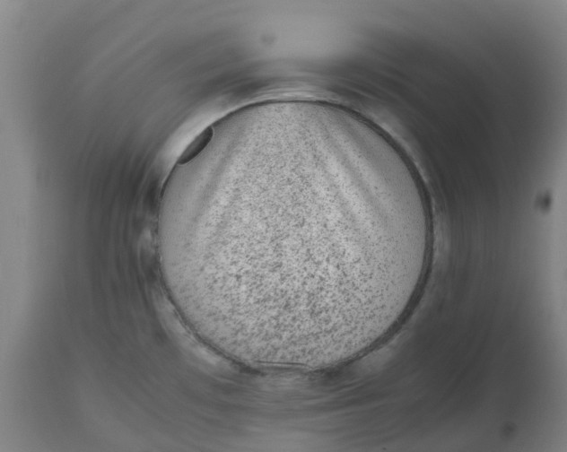 X0000112511481200909071257