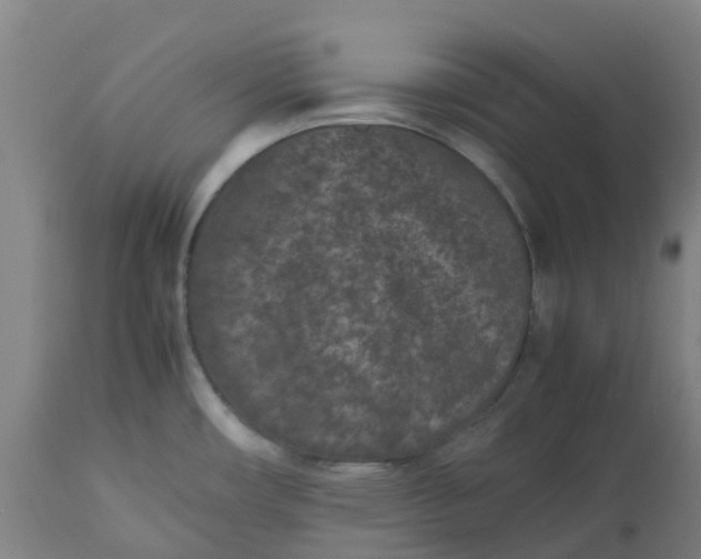 X0000112511482200909071257