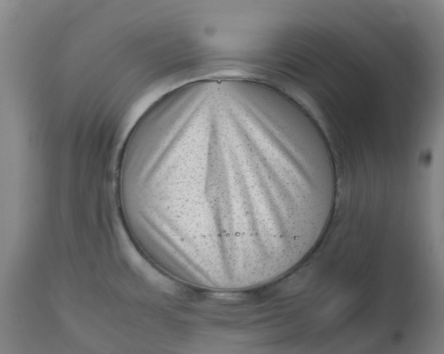 X0000112511483200909071257