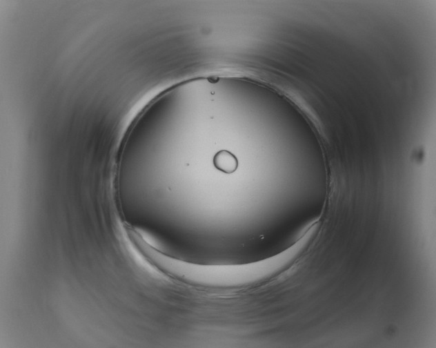 X0000112511484200909071257