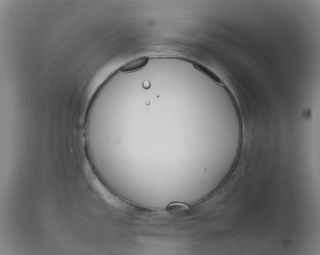 X0000112511485200909071257