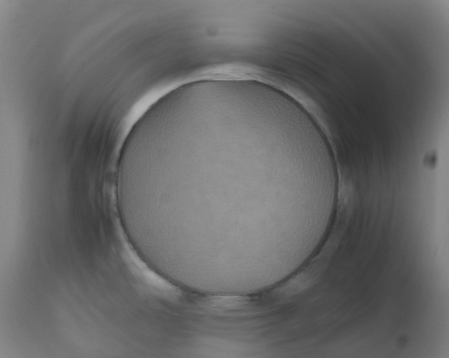 X0000112511486200909071257