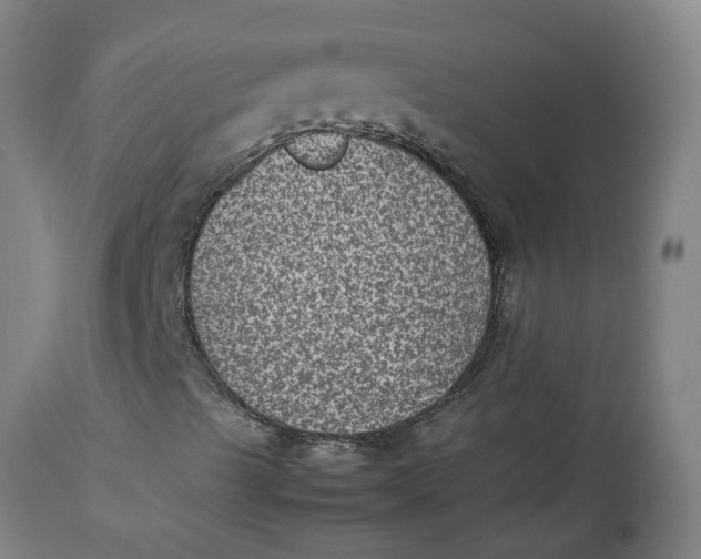 X0000112511489200909071256