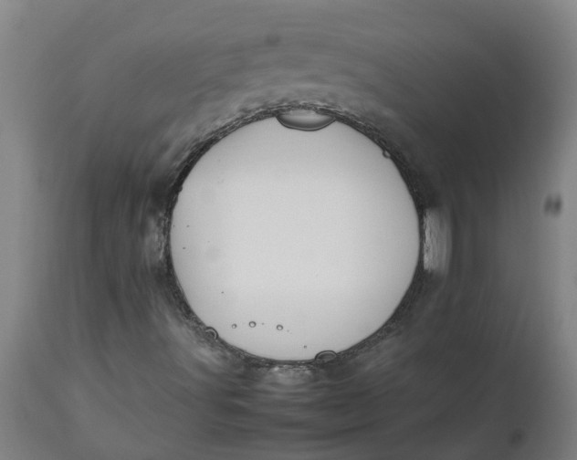 X0000112511491200909071256