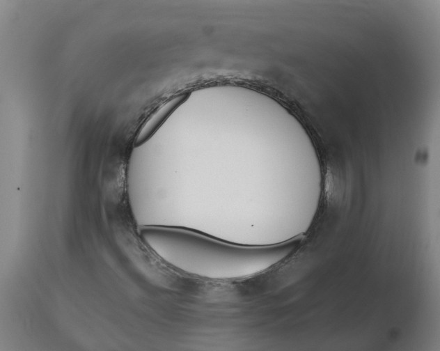 X0000112511492200909071256