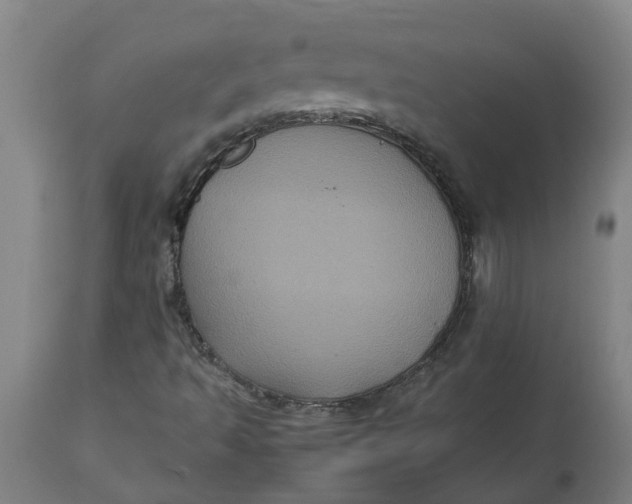 X0000112511493200909071256