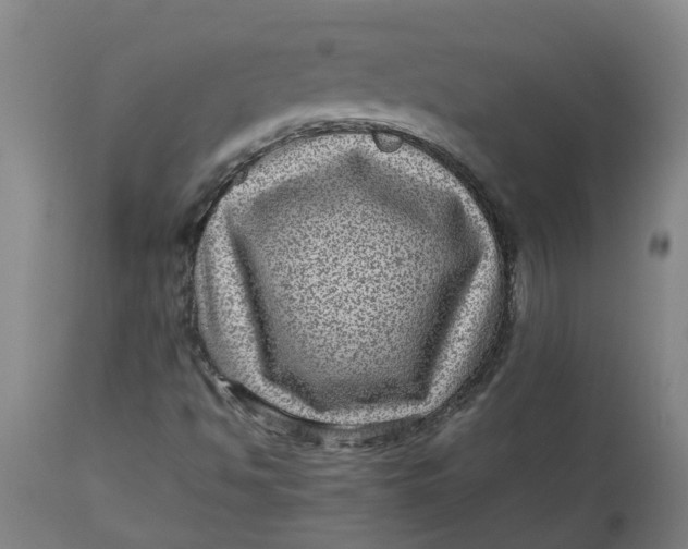 X0000112511494200909071256