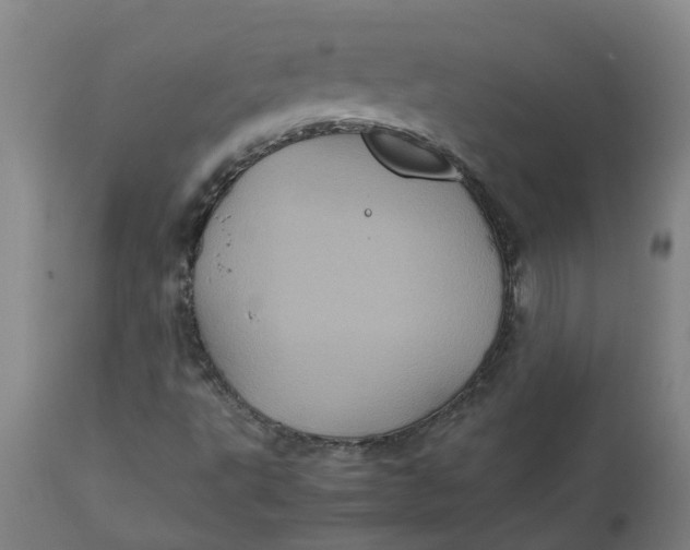 X0000112511495200909071256