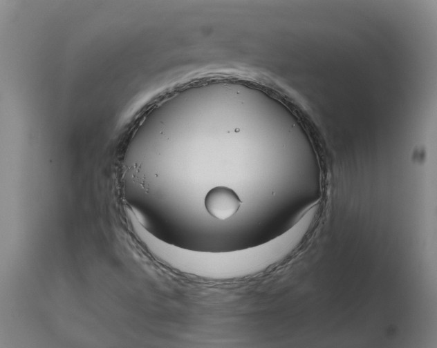 X0000112511496200909071256