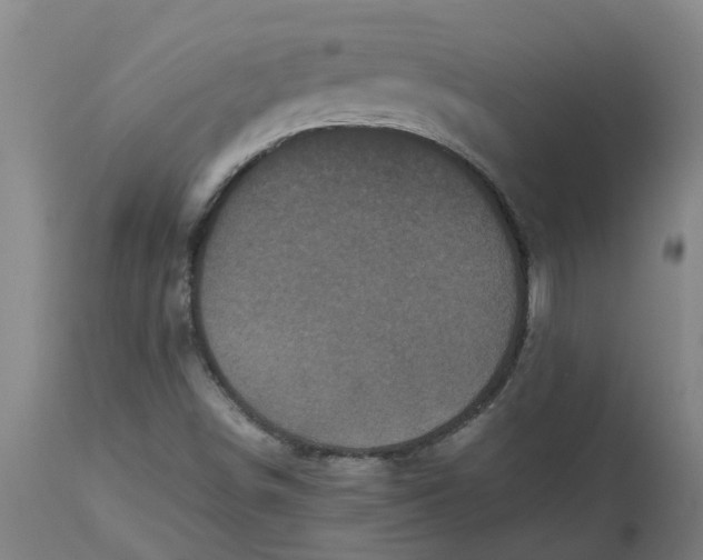 X0000112511498200909071256