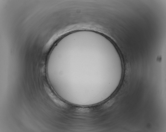 X0000112511499200909071256