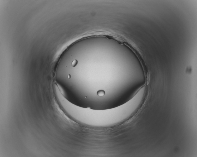 X0000112511500200909071256