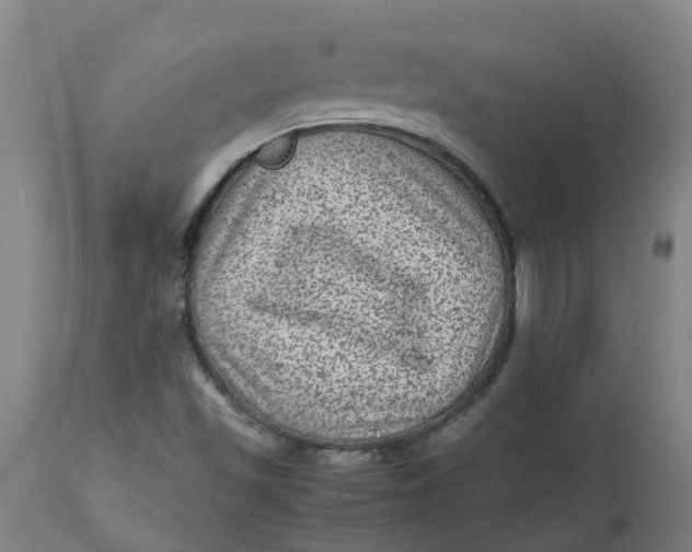 X0000112511501200909071256