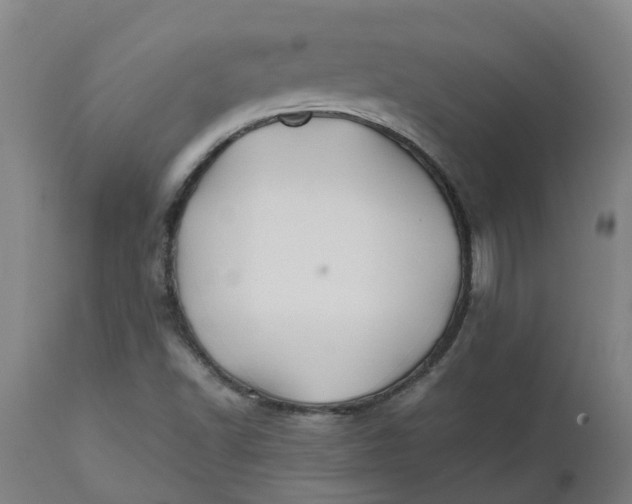 X0000112511502200909071256