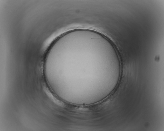 X0000112511503200909071256