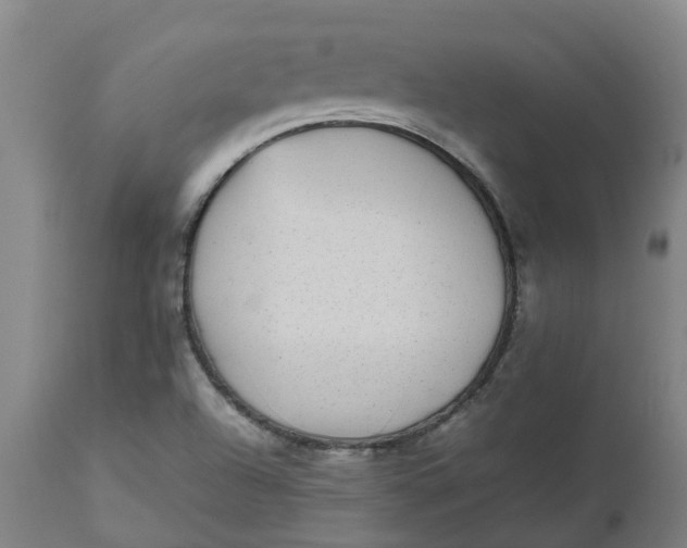 X0000112511504200909071256