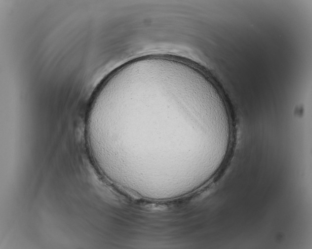 X0000112511505200909071256