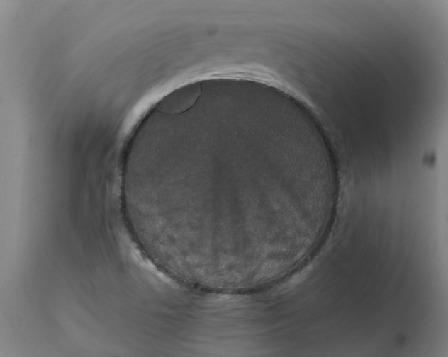 X0000112511506200909071256