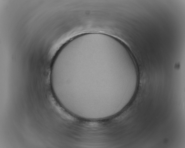 X0000112511507200909071256