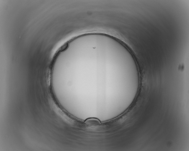 X0000112511510200909071256