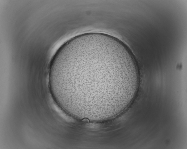 X0000112511511200909071256