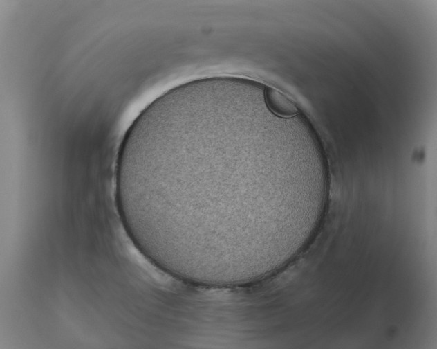 X0000112511512200909071256