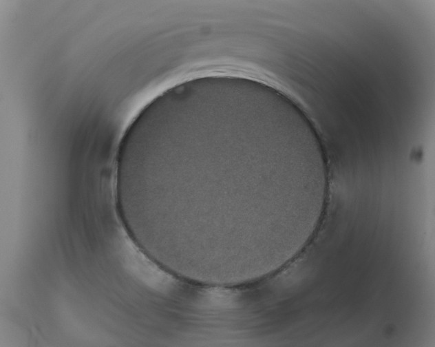 X0000112511514200909071256