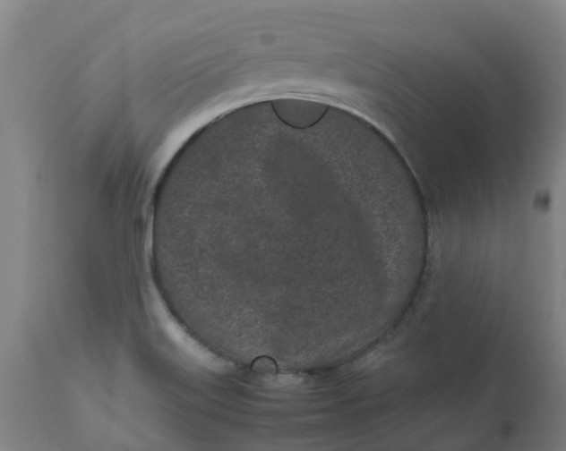 X0000112511515200909071256